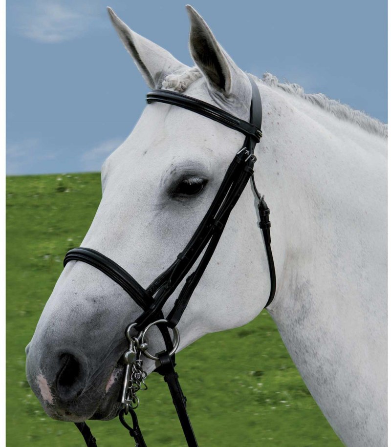 Мундштучная уздечка