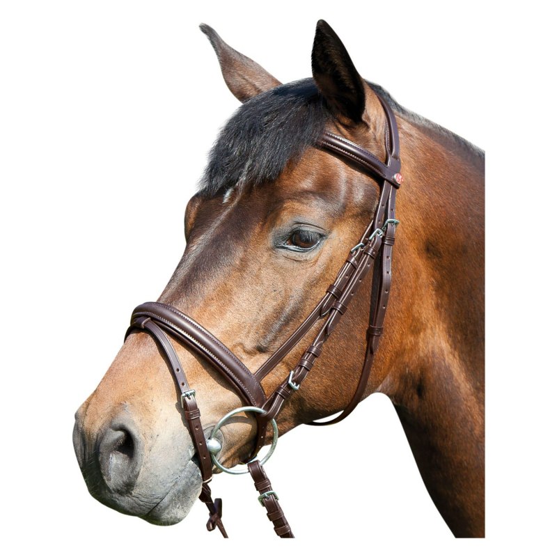 Оголовье "Ergonomic line II"