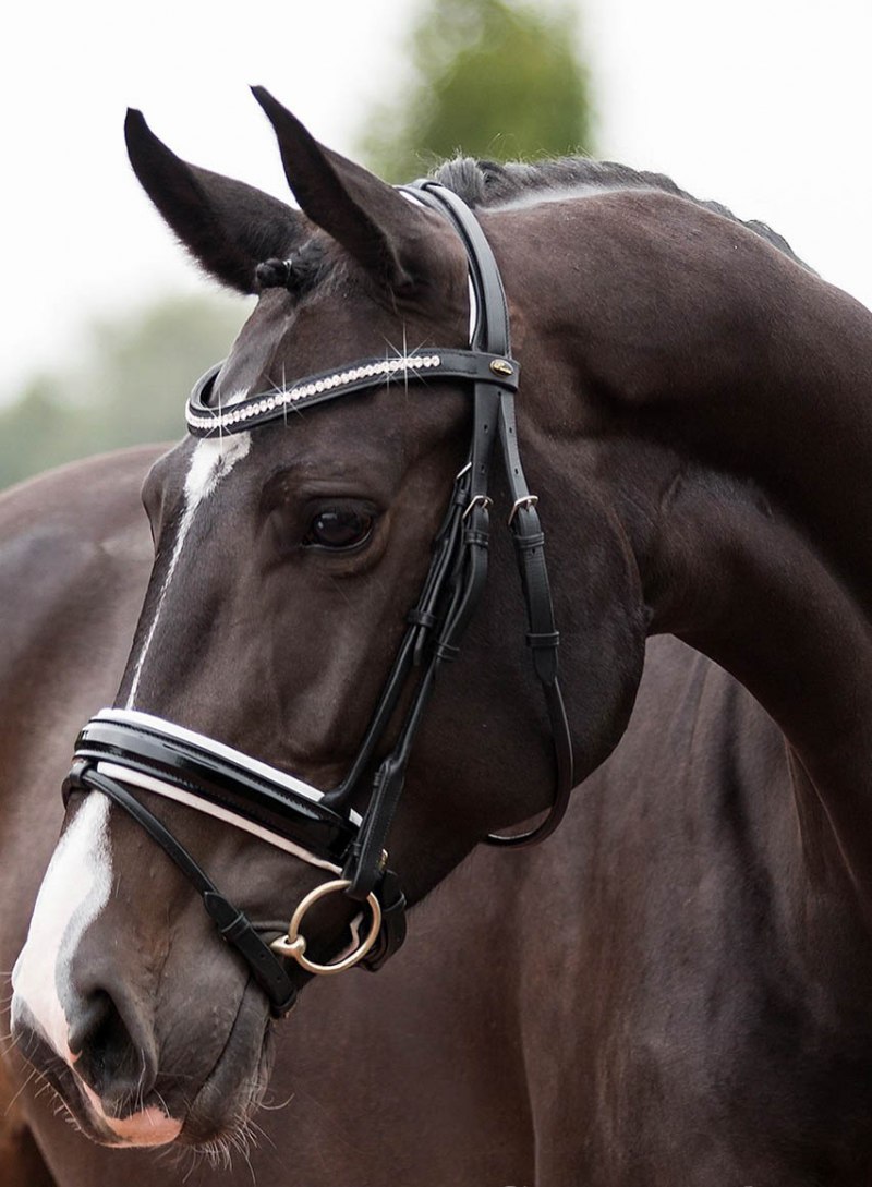 Исландское оголовье