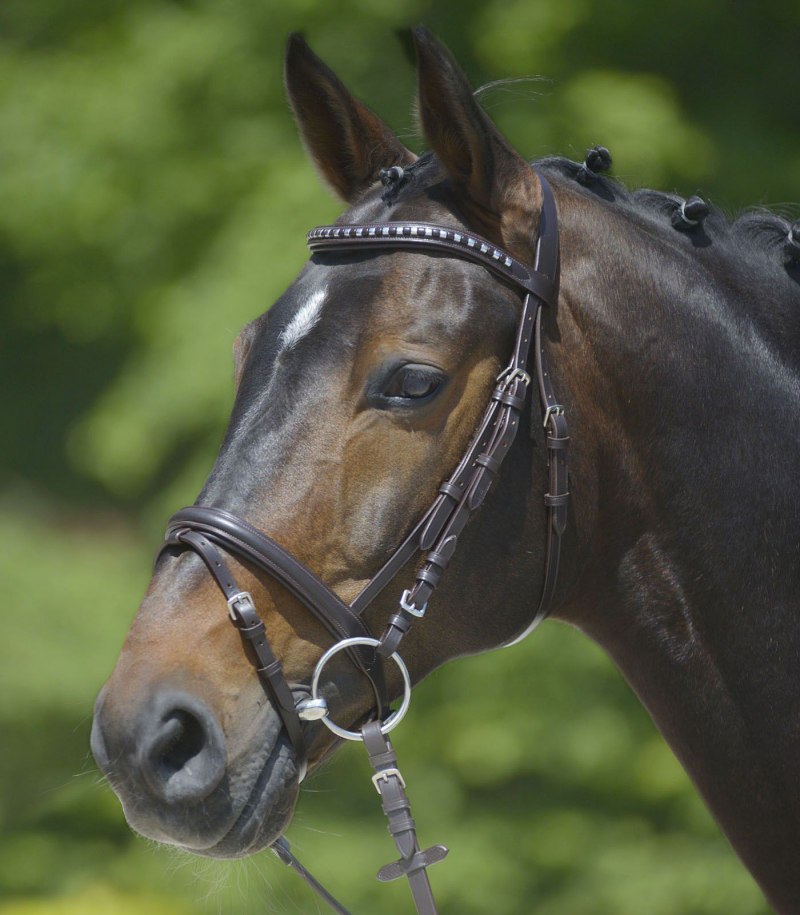 Waldhausen уздечка Star