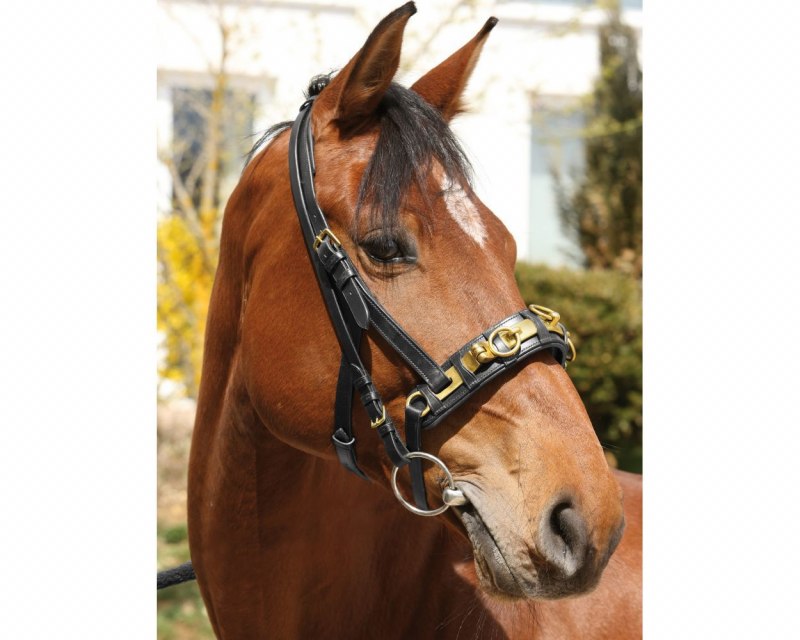 Уздечка капцунг