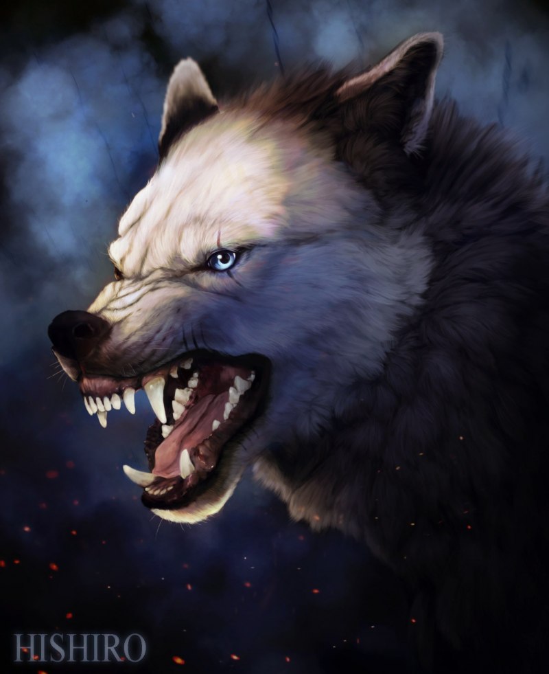 Волк облизывается