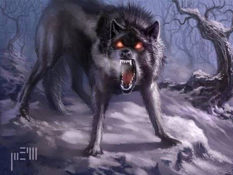 Волк скалится