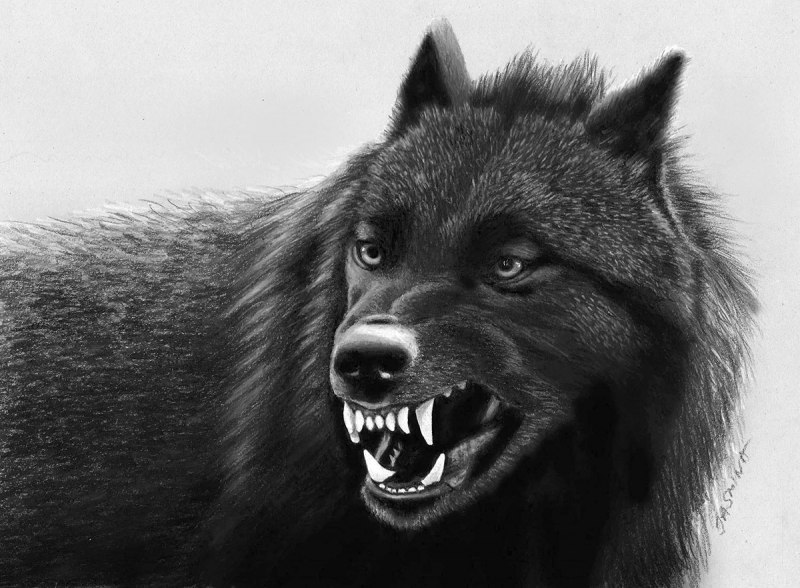 Окровавленная пасть волка