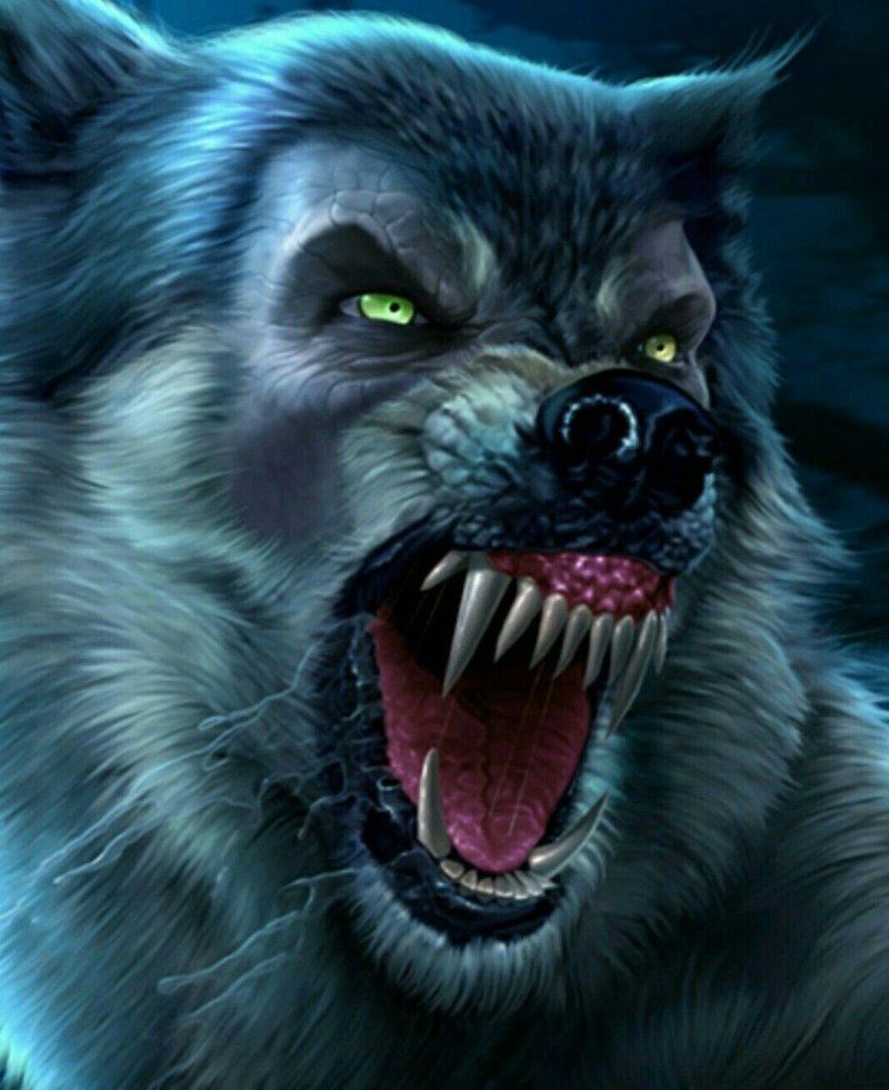 Разъяренный волк