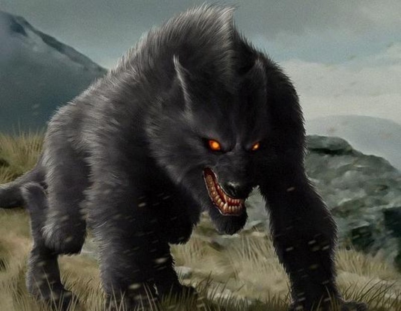 Пасть волка