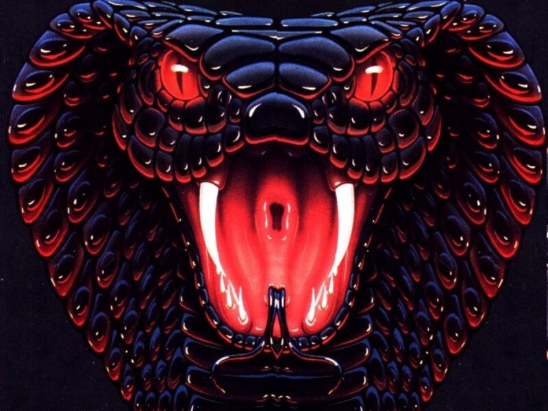 Красный питон змея