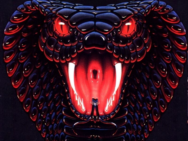 Змея Кобра Королевская