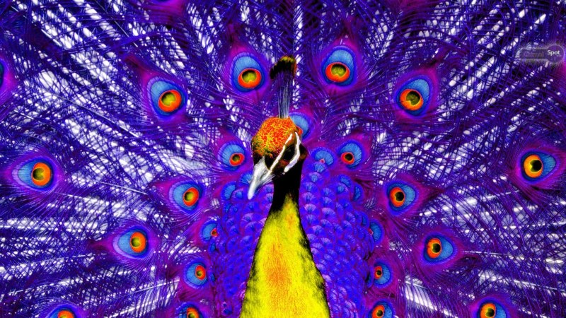 Алмазная мозаика золотой Павлин