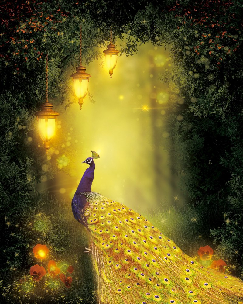 Мужчина Павлин или Нарцисс фото