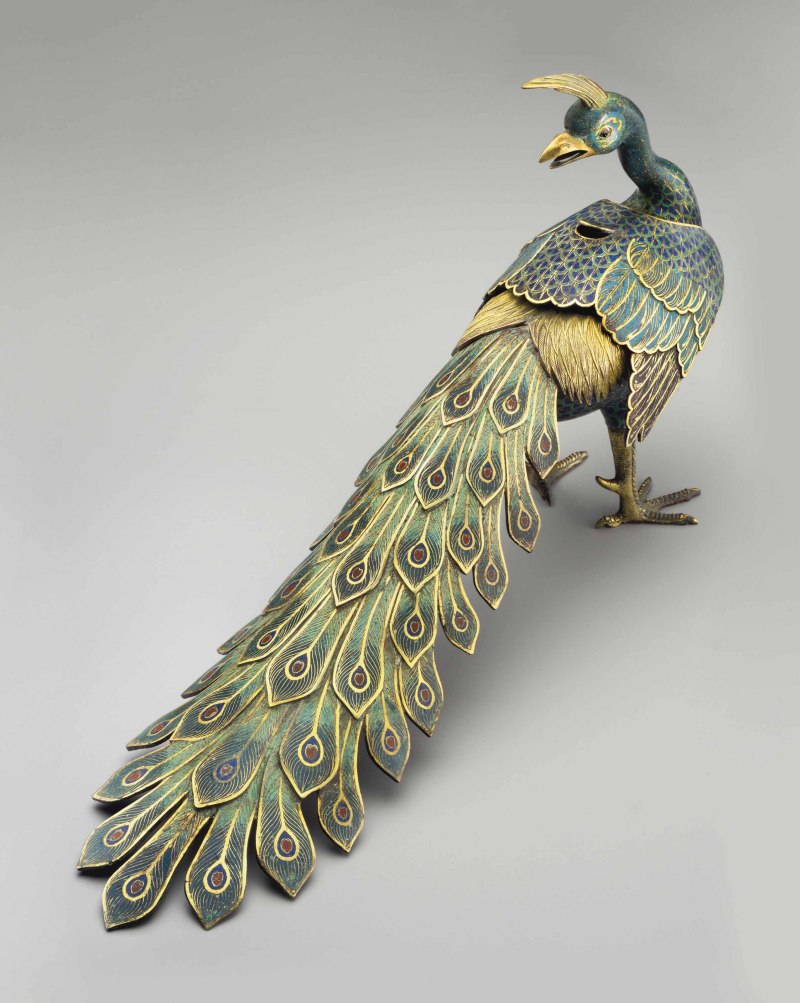 Павлин лапы