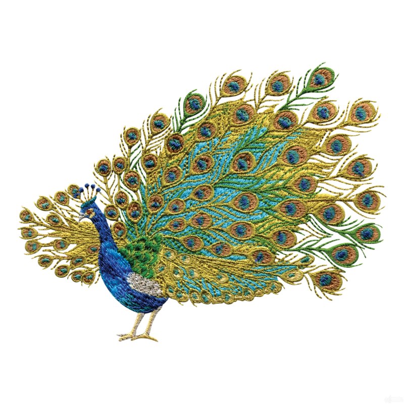 Павлин Индонезия