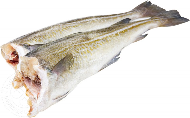 Треска потрошеная без головы 1-2 Мурманск, кг