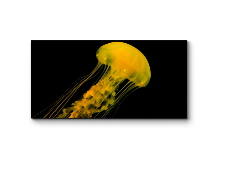 Озеро медуз Палау