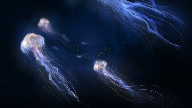 Гребневик Берое