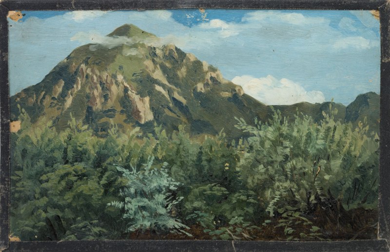 Лев черно белый