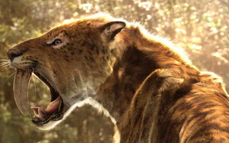 Древний Саблезубый тигр