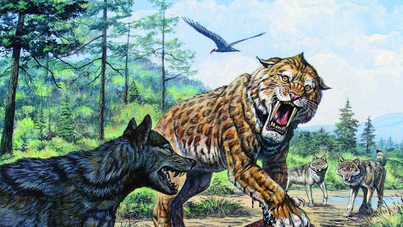 Смилодон и Короткомордый медведь