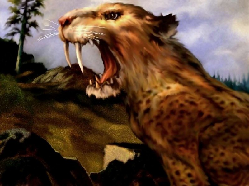 Доисторический парк Саблезубый тигр