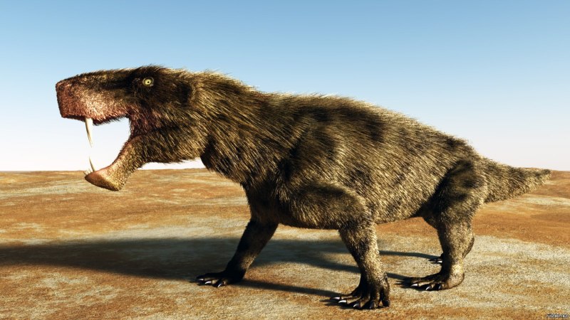 Бурый медведь нападение Гризли