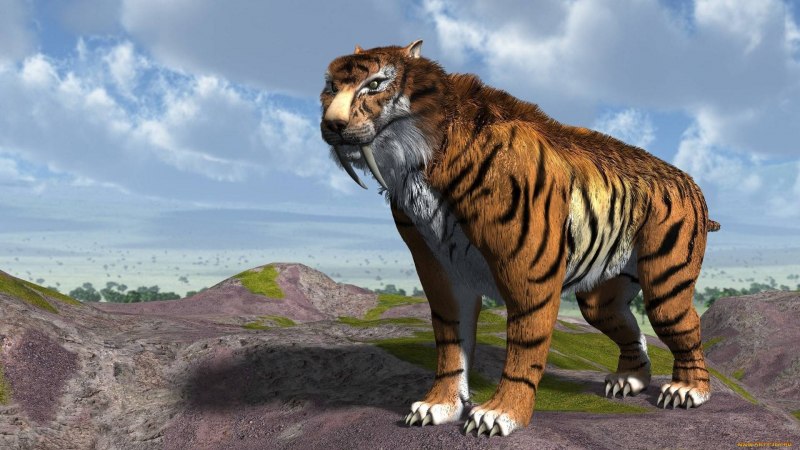 Веревульф. Тигр. Лев