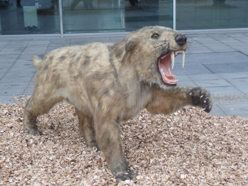 Зденек Буриан пещерный медведь