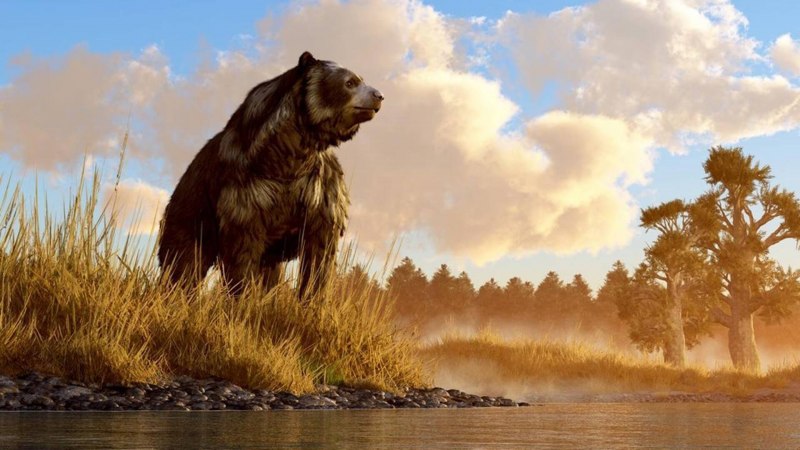 Саблезубый тигр и медведь