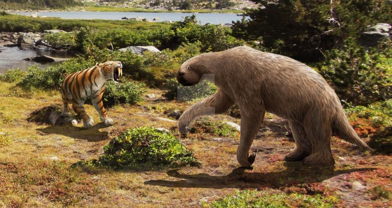 Доисторические хищники Смилодон