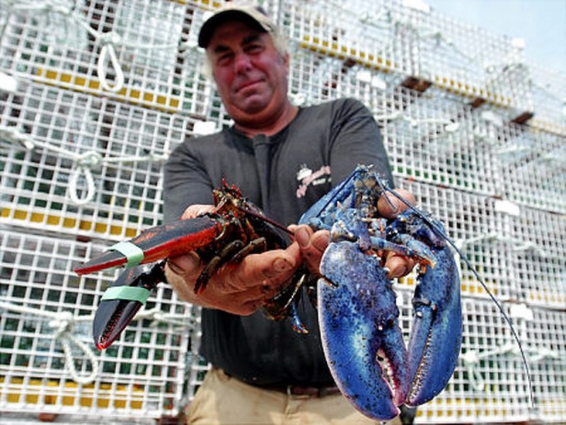 Морские редкости