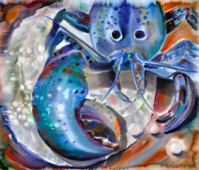 Редчайший синий Омар