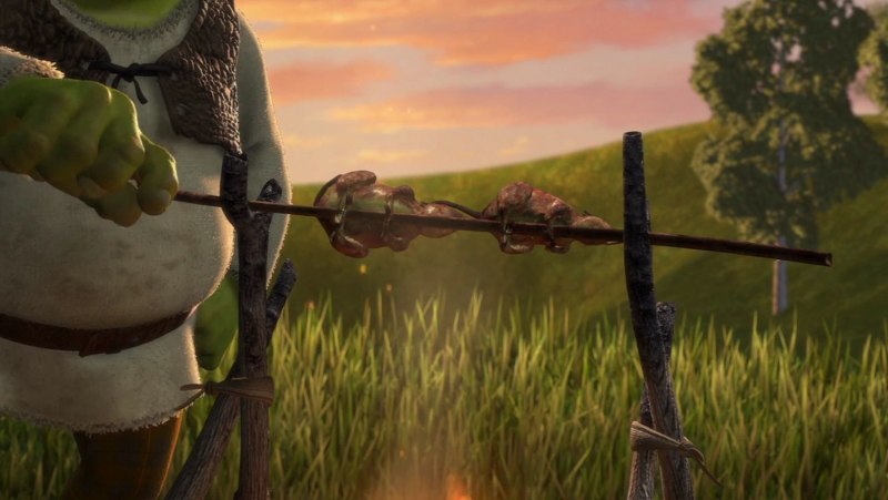 Вибриссы у крыс