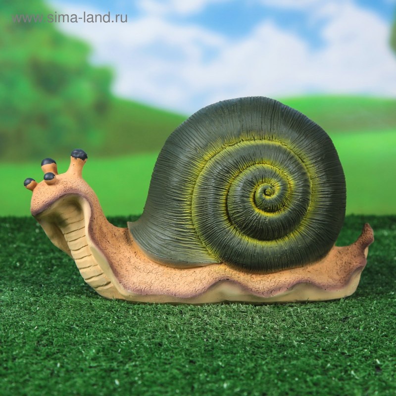 Уличные улитки