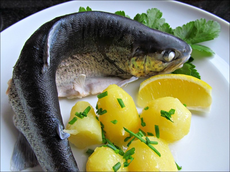 Голубая форель-голец с отварным картофелем