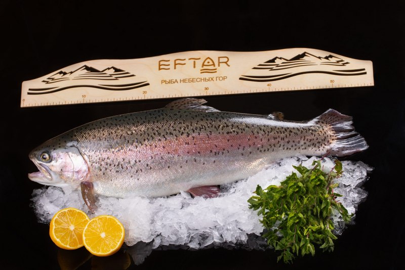Форель Эфтар