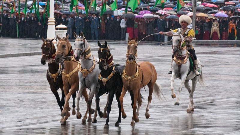 Туркменистанские скакуны