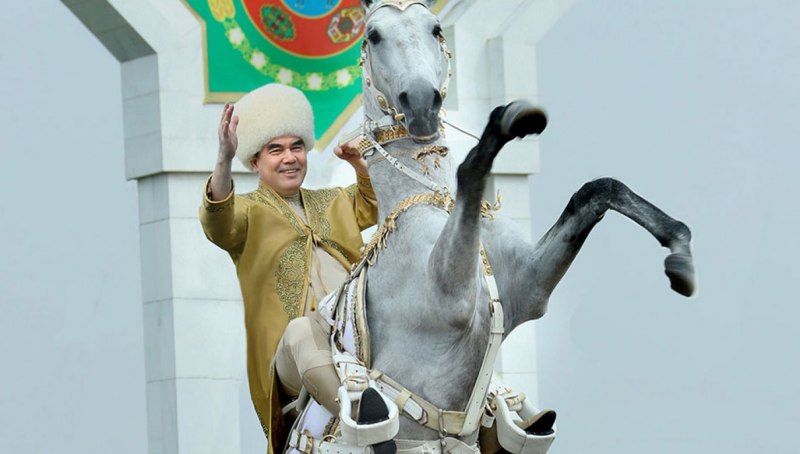 Вороные лошади ахалтекинец