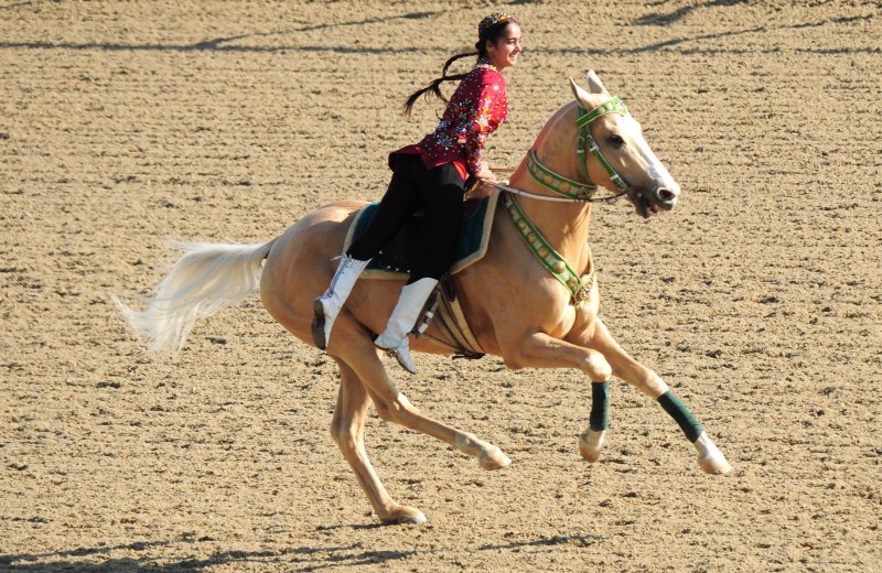 Бердымухамедов Ахалтеке