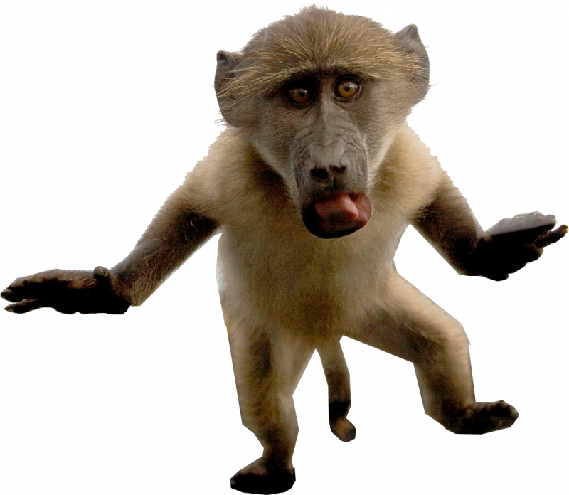 Бабуин лёша