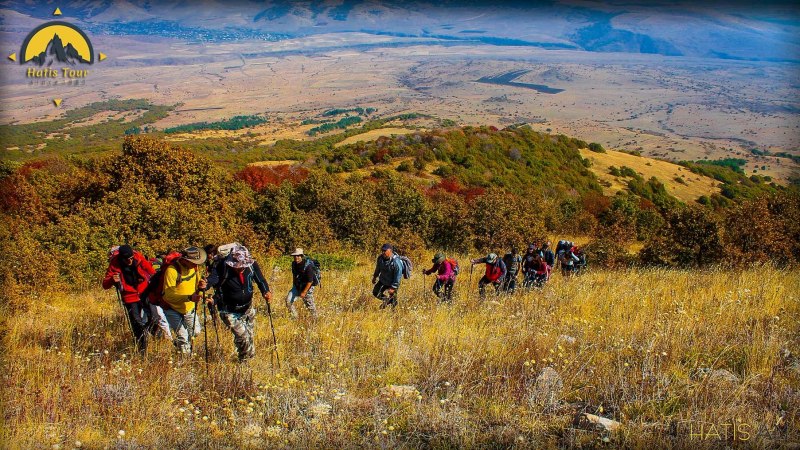 Какаду и ара