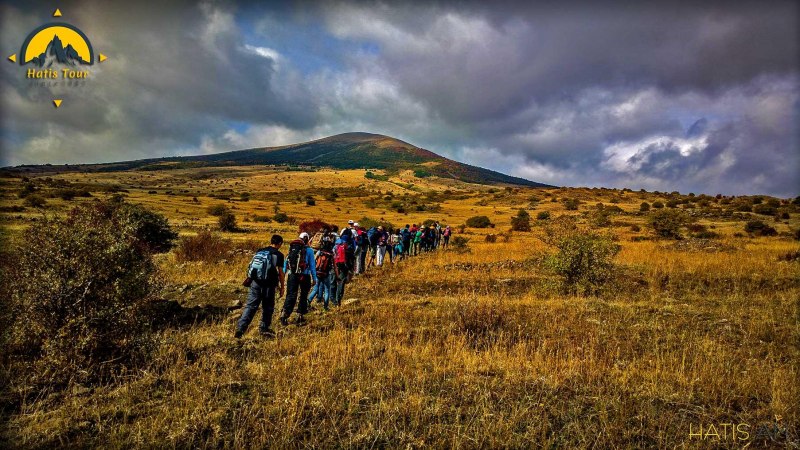 Птица в полете