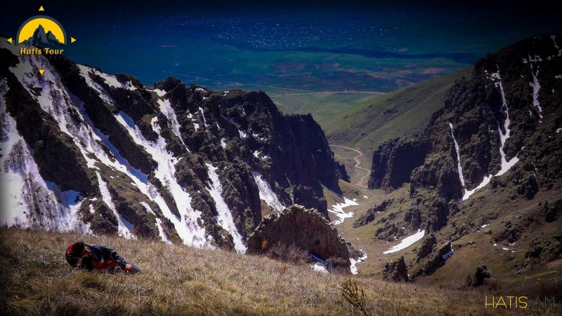 Гваделупский ара