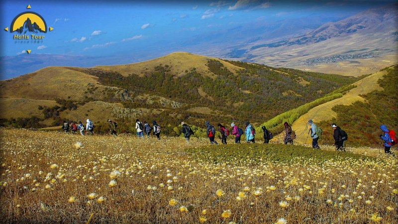 Коста Рика попугаи