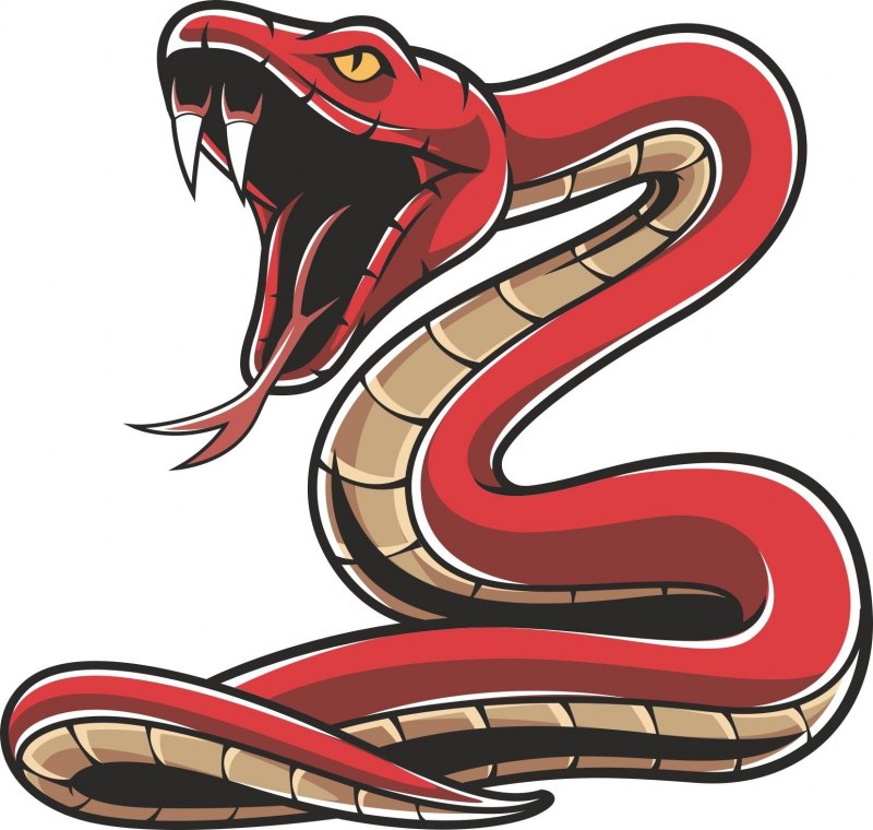 Питон ядовитая змея