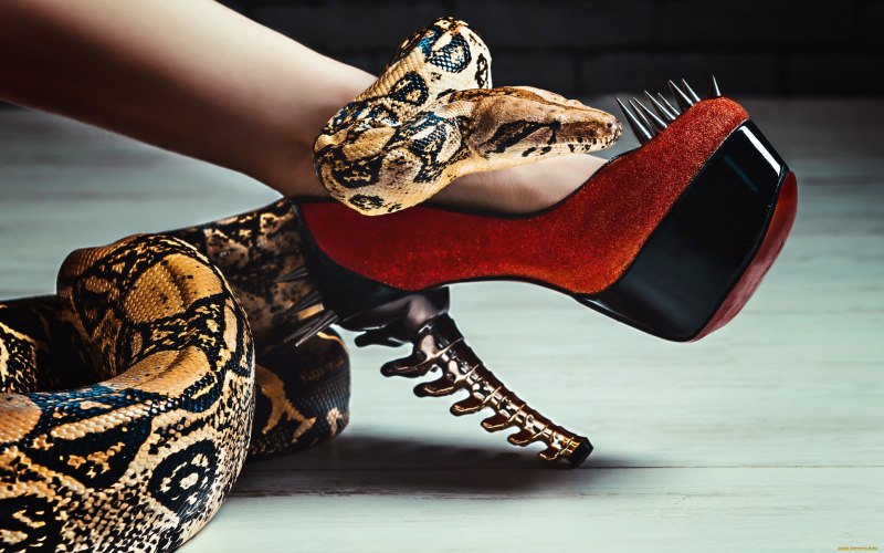 Бразильский Радужный удав