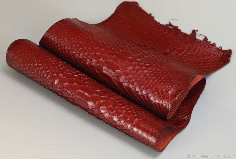 Садовый удав Corallus hortulanus