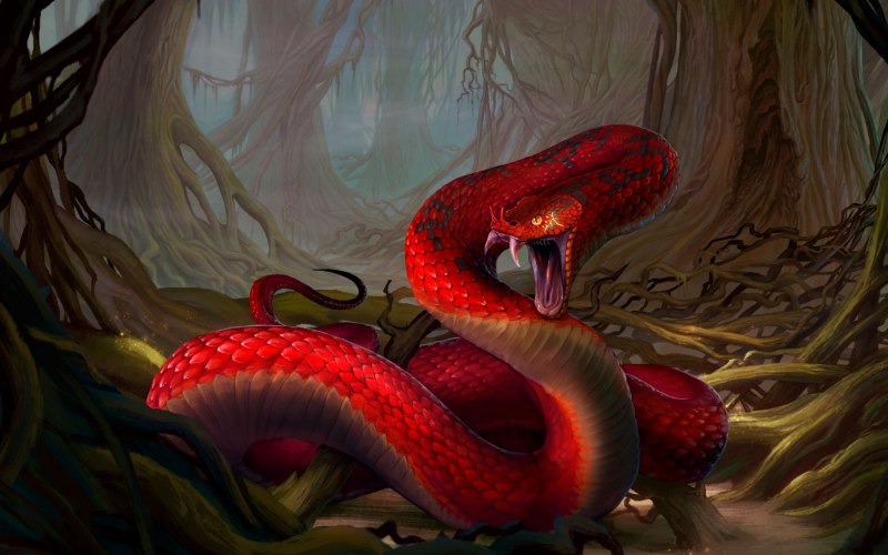 Маисовый полоз черно красный