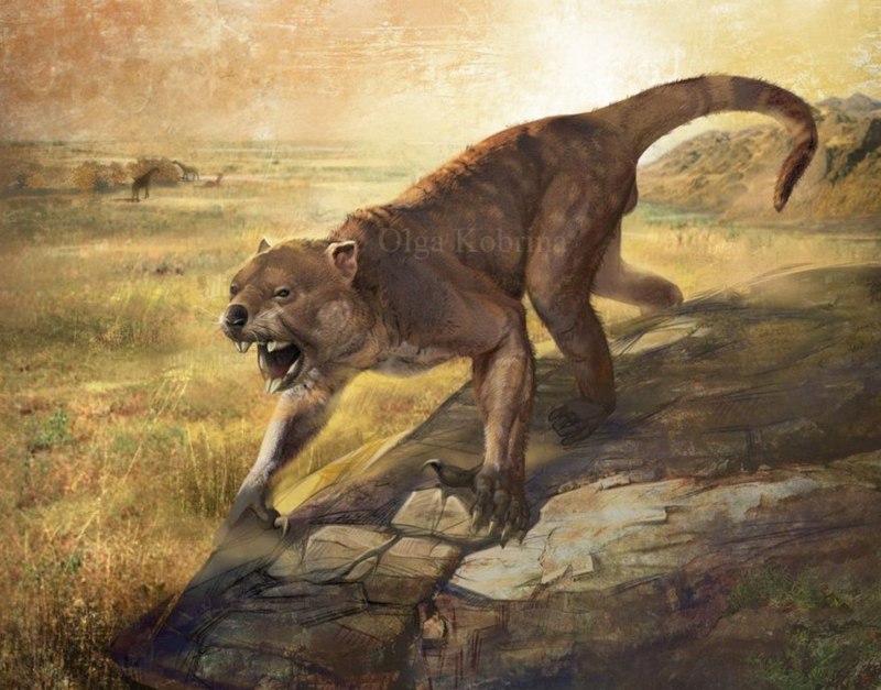 Шерсть Льва