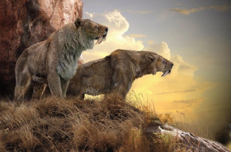 Иоанн Лев Африканский