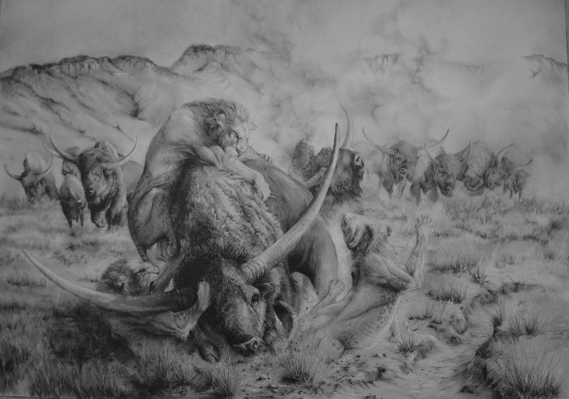 Лев и львица вместе