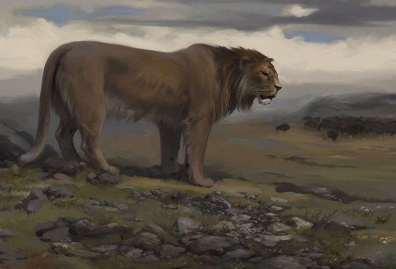 Мама Чоли львица